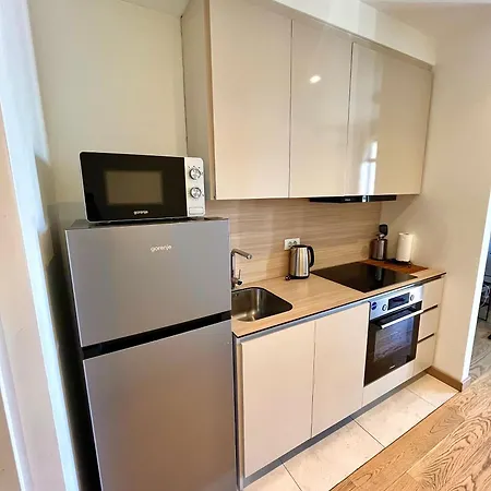 Bw Loft Free Garage Fast Wi-fi Apartament